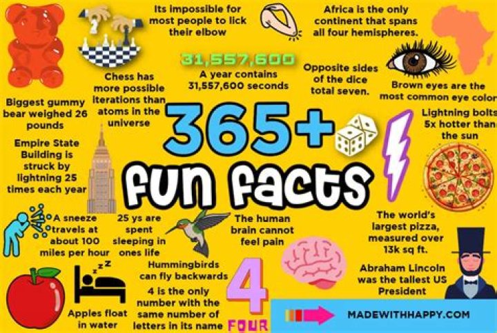 
5 Interesting Facts To Know About Marli Siu 