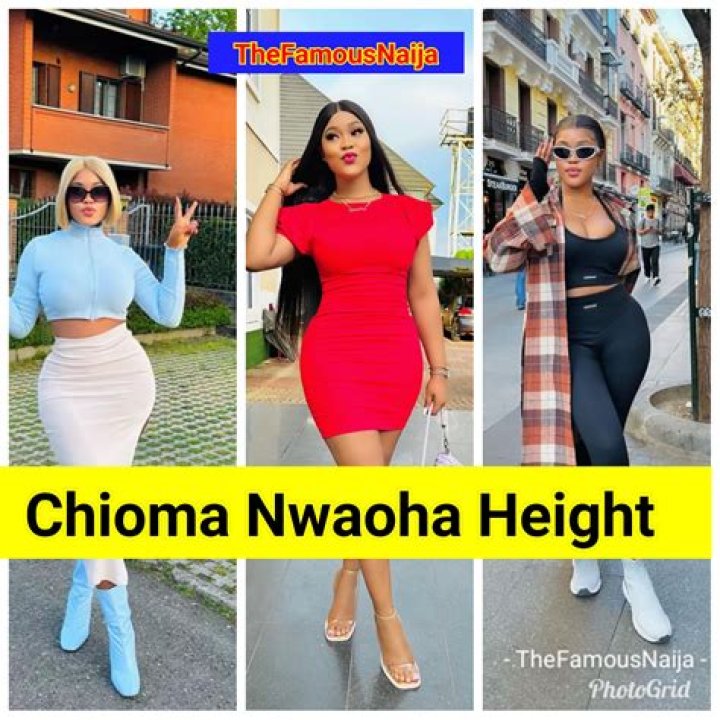 Chioma Nwaoha Height, Weight, Net Worth, Age, Birthday, Wikipedia, Who, Instagram, Biography