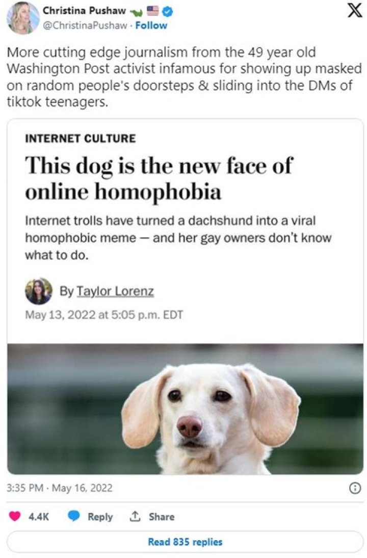 
Whitney Chewston Is The Dog In The New Homophobic Meme Taking Over The Internet 